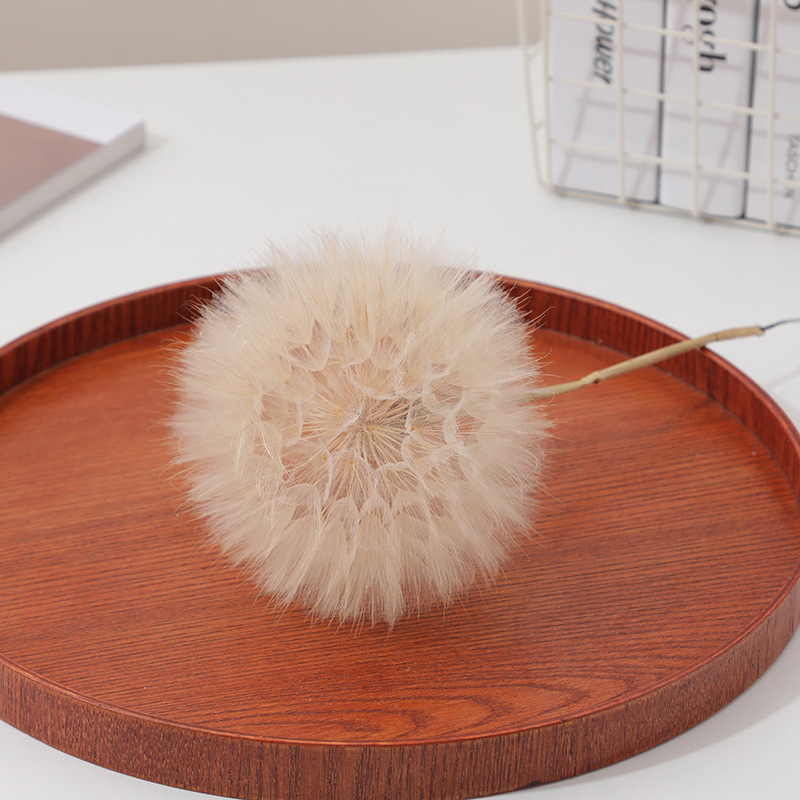 Preserved Dandelion DIY Epoxy  - Crafting Resin ulasan dan harga