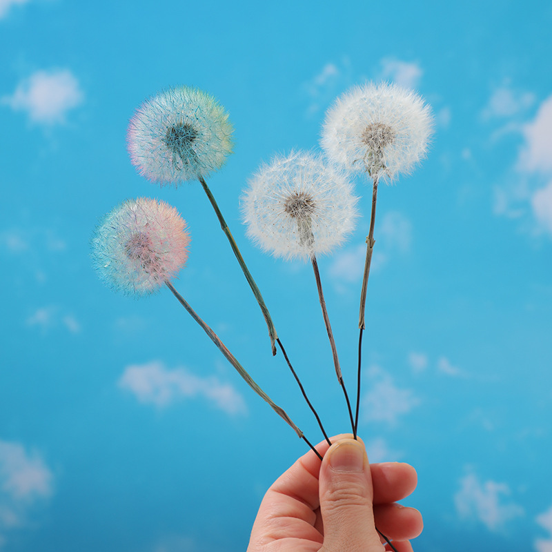 Preserved Dandelion DIY Epoxy  - Crafting Resin ulasan dan harga